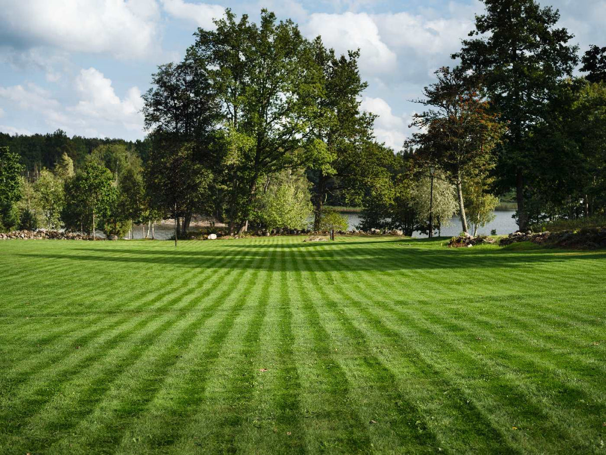 Husqvarna Automower 450V NERA